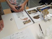 IMG_20231205_161419_061
