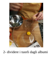 2_t